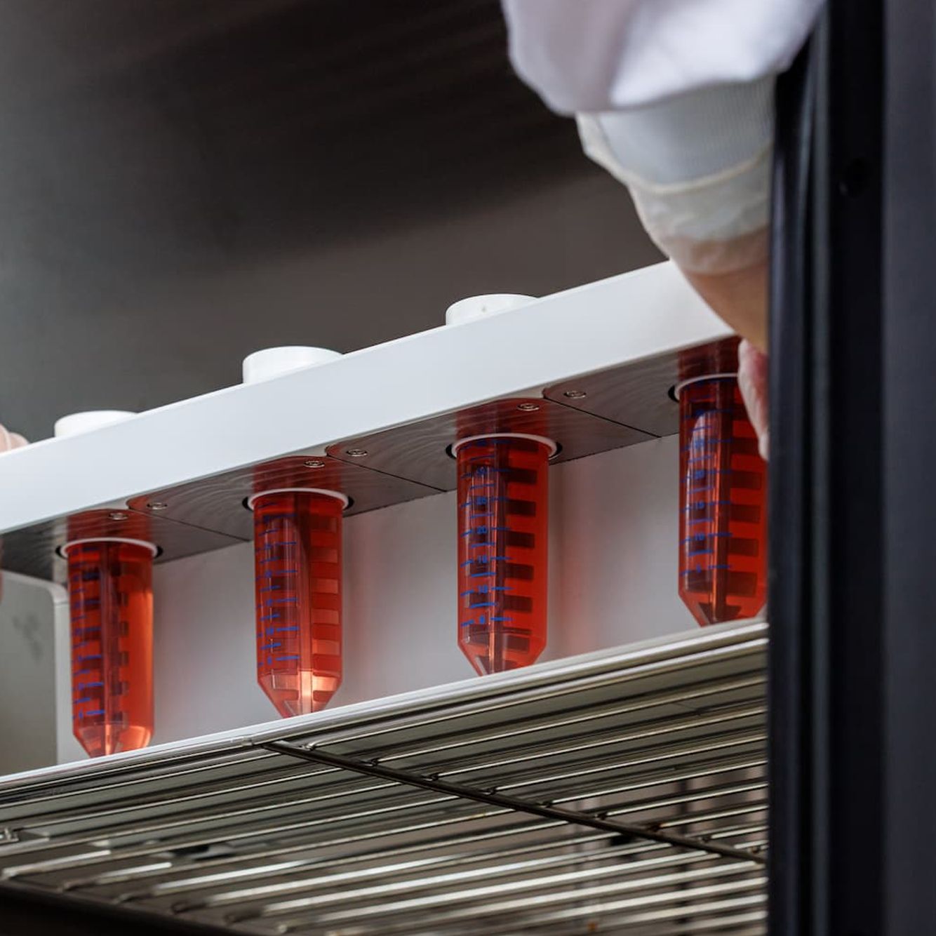 Orgonex-bioreactor-action