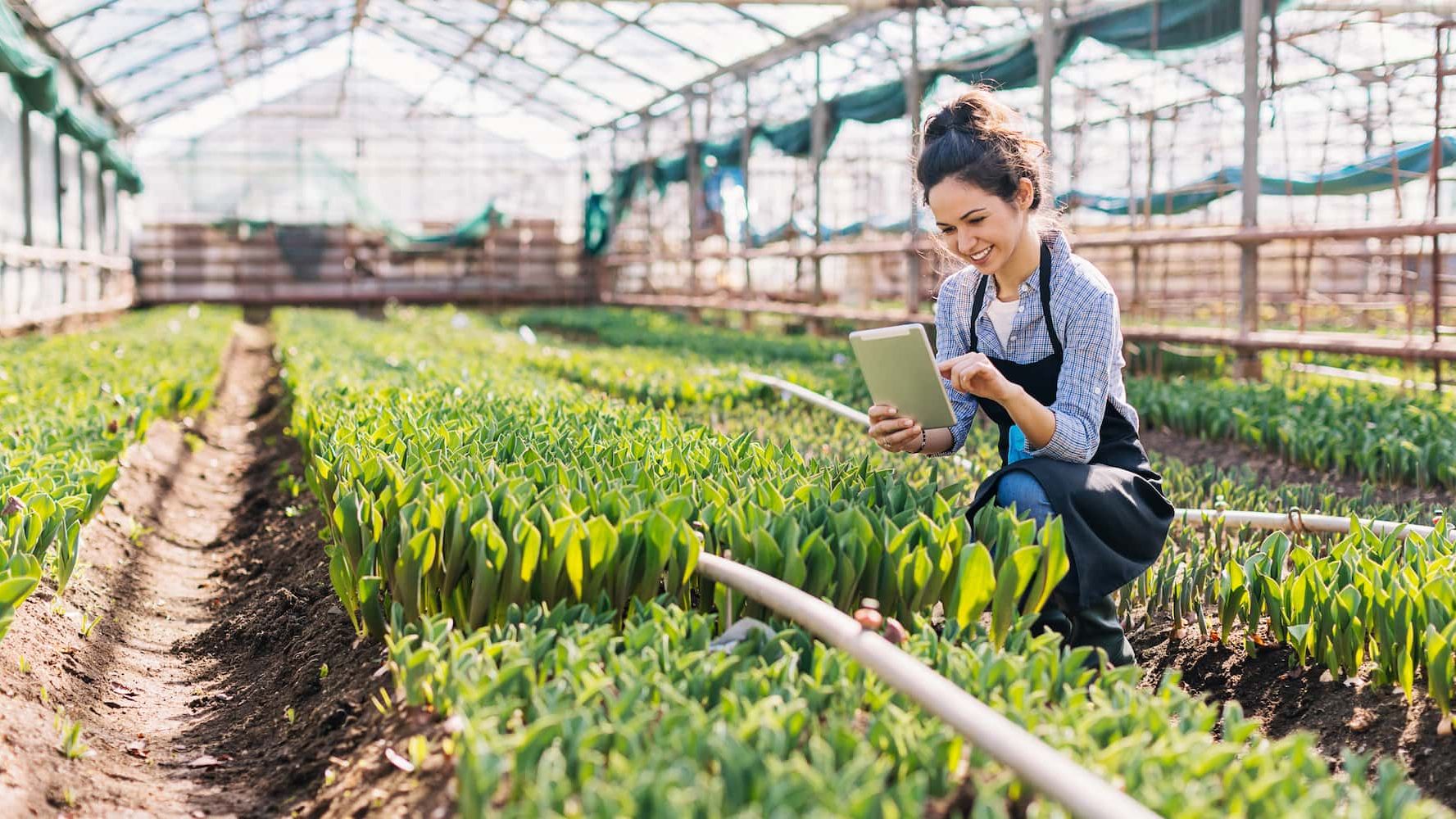 Agri and food