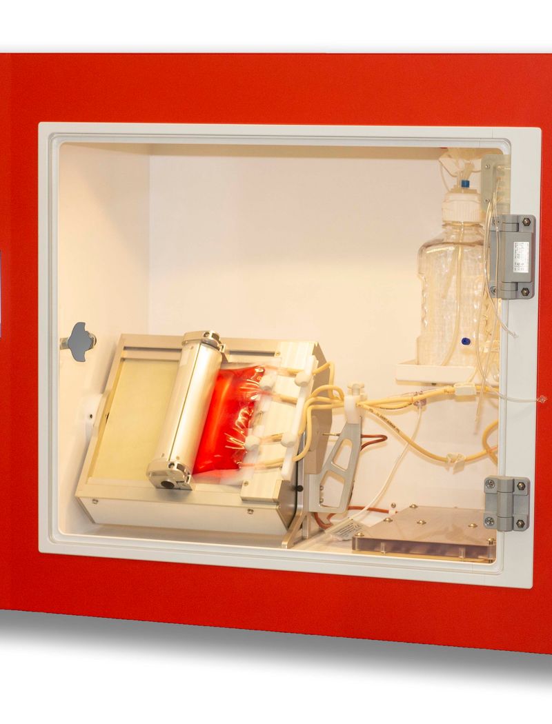 microcarrier for cultivation of ipsc's