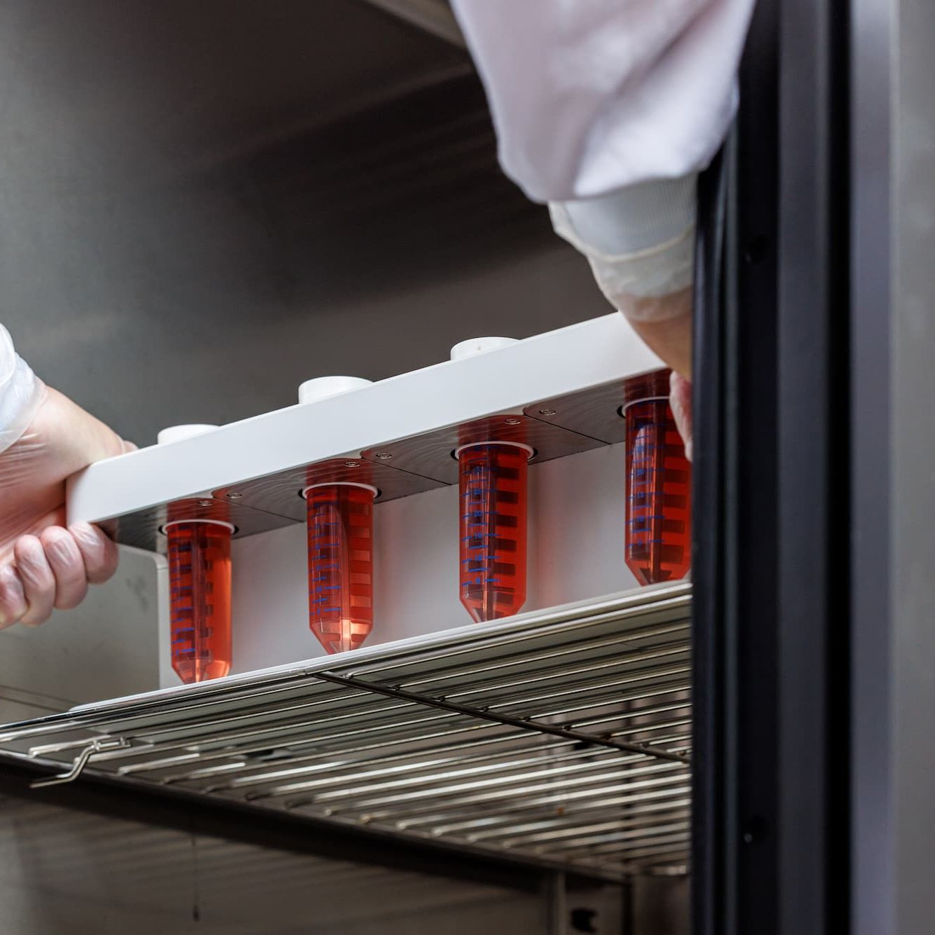 Orgonex-bioreactor-action