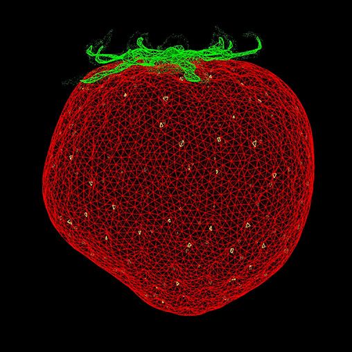 Strawberry